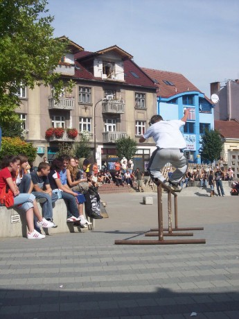 inline009.jpg